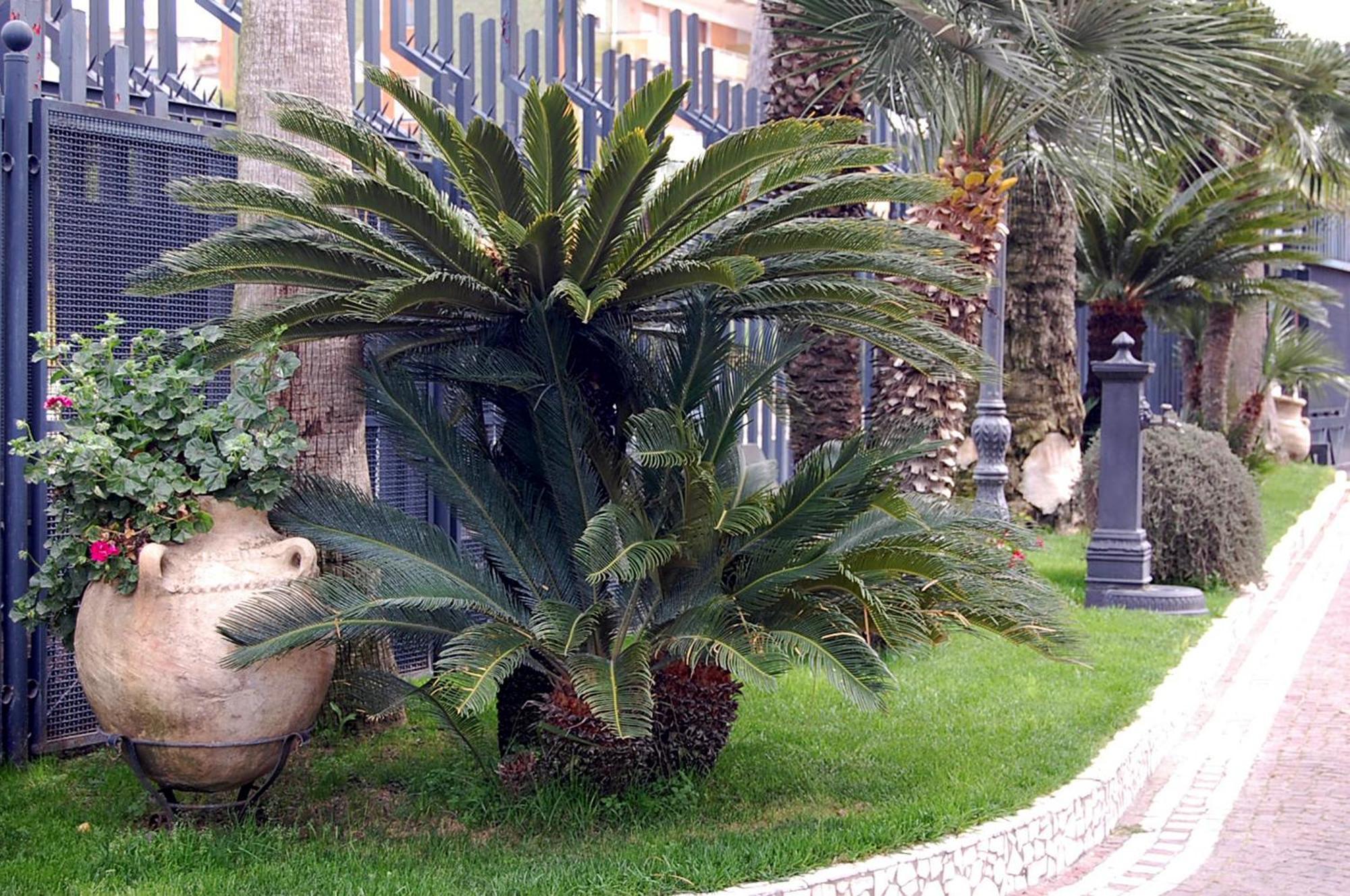 Hotel Ristorante Donato Calvizzano Exterior photo